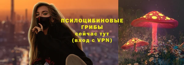 jwh Вязьма