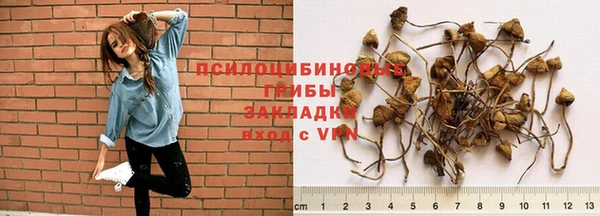 ECSTASY Вязники