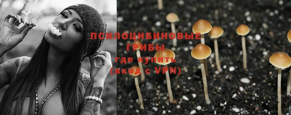 ECSTASY Вязники