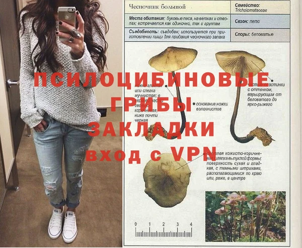 jwh Вязьма