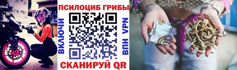 Псилоцибиновые грибы прущие грибы  Купить где  Артёмовский 